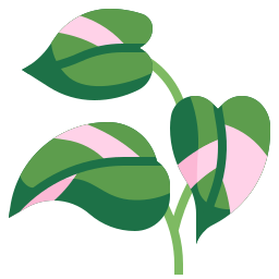 filodendron ikona