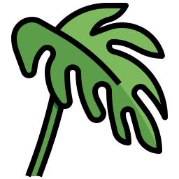 filodendron xanadu ikona