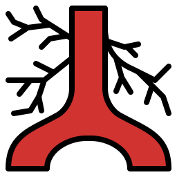 동맥 icon