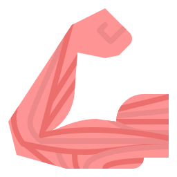 músculo Ícone