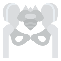 Pelvic bone icon