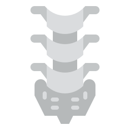 Spine icon