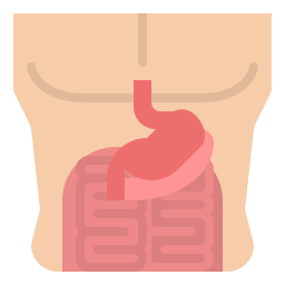 Stomach icon