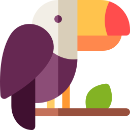 Toucan icon