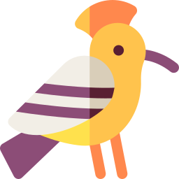 Hoopoe icon