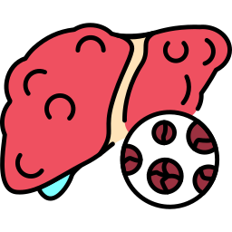 Liver icon