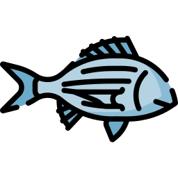 Bream icon