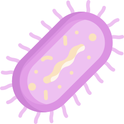 bactérias Ícone