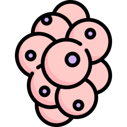 Stem cells icon