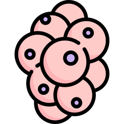 幹細胞 icon