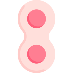 Mitosis icon