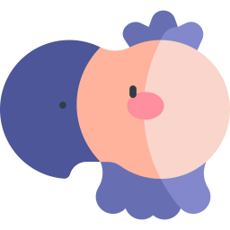 dodo icoon