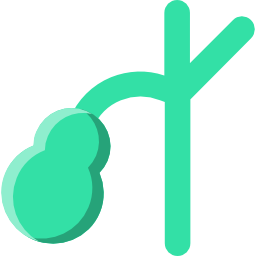 Gallbladder icon