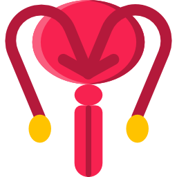Репродуктивный иконка