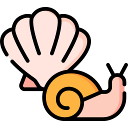 Molluscs icon