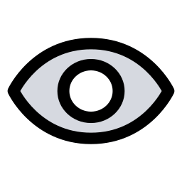 Open eye icon