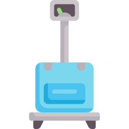 Scale icon