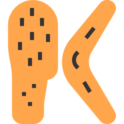 boomerang icon