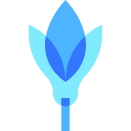 Crocus icon