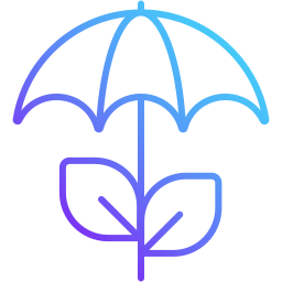 Umbrella plant icon