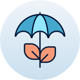 plante parapluie Icône