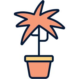 Dracaena icon