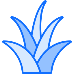 yucca ikona