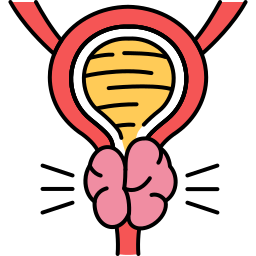 prostate Icône