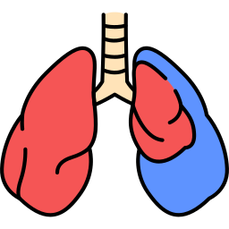 Lung icon