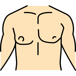 Chest icon