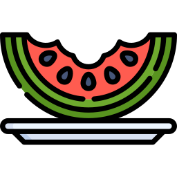 wassermelone icon