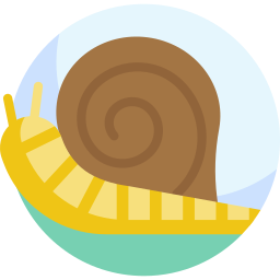 caracol icono