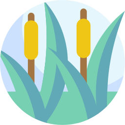 Reed icon