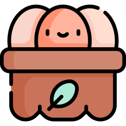 Organic eggs icon