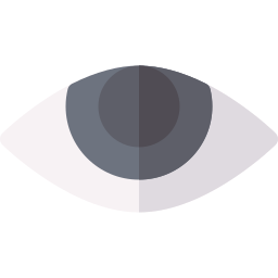 Eye icon