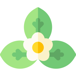 Strawberry blossoms icon