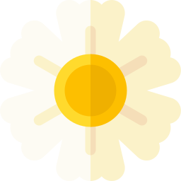 Chamomile icon