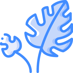 Leaf icon