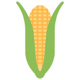 Corn cob icon