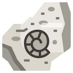 Fossil icon