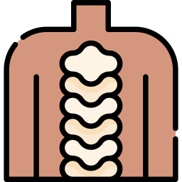 Vertebral column icon