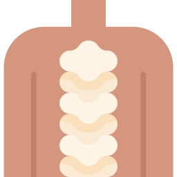 Vertebral column icon