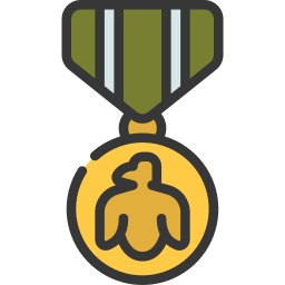 medalla de honor icono