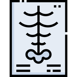 X rays icon