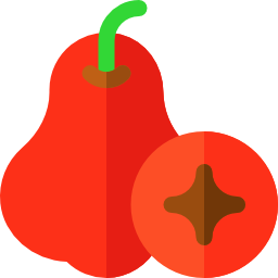 Rose apple icon