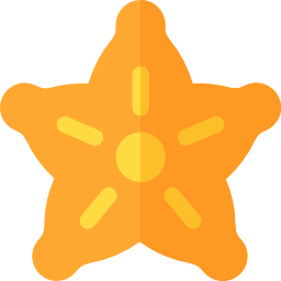 Carambola icon