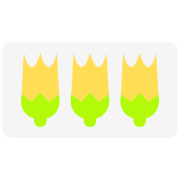 Fiori di zucca icon