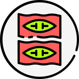 saltimbocca ikona