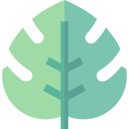 monstera icon