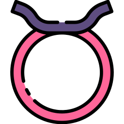 Taurus icon